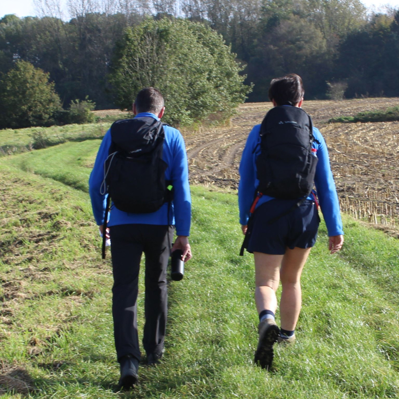 Wandelcoaching: bewezen hulp bij depressie en burn-out